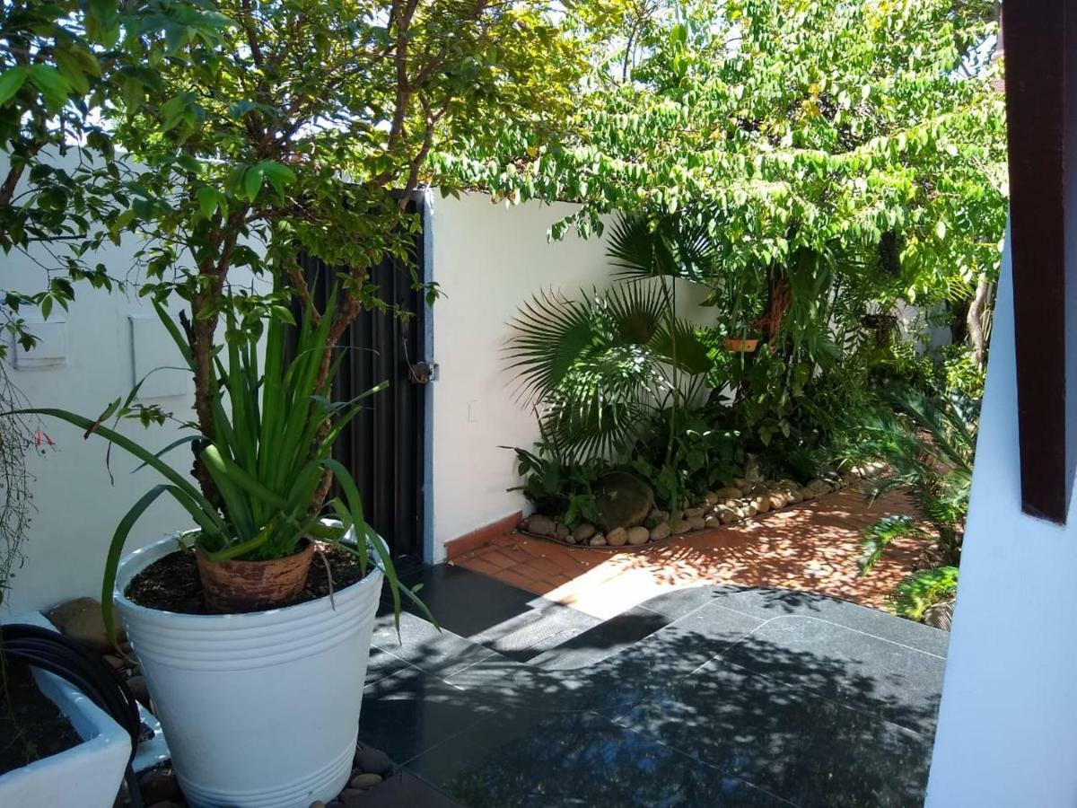 Guesthouse Mata Da Praia Vitória Екстериор снимка