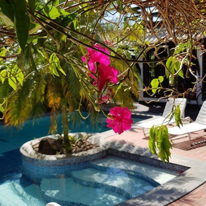 Guesthouse Mata Da Praia Vitória Екстериор снимка